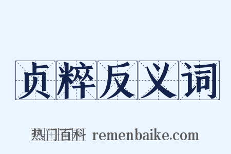 贞粹反义词是什么意思的图片